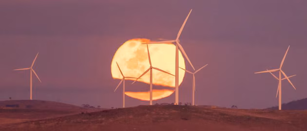 Erneuerbare Energien: Am Wunder von Canberra hat Deutschland einen großen Anteil