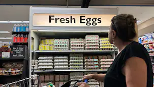 USA bitten Dänemark um Eier