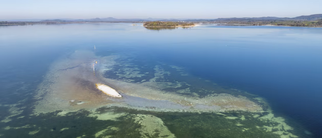 Kein Regen in Sicht: Die Mega-Dürre am Bodensee setzt einen furchtbaren Kreislauf in Gang