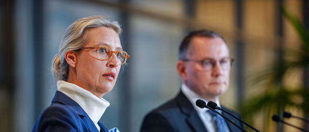 Erste Details aus Gutachten: Darum wurde AfD als rechtsextremistisch eingestuft