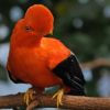 Neuer Biodiversitäts-Hub in Ecuador